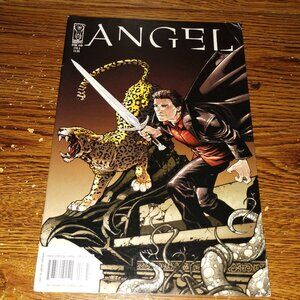 Angel #18 (IDW Comics, 2009)  Cover Variant A